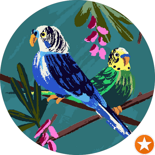 Google Custemer Review Photo